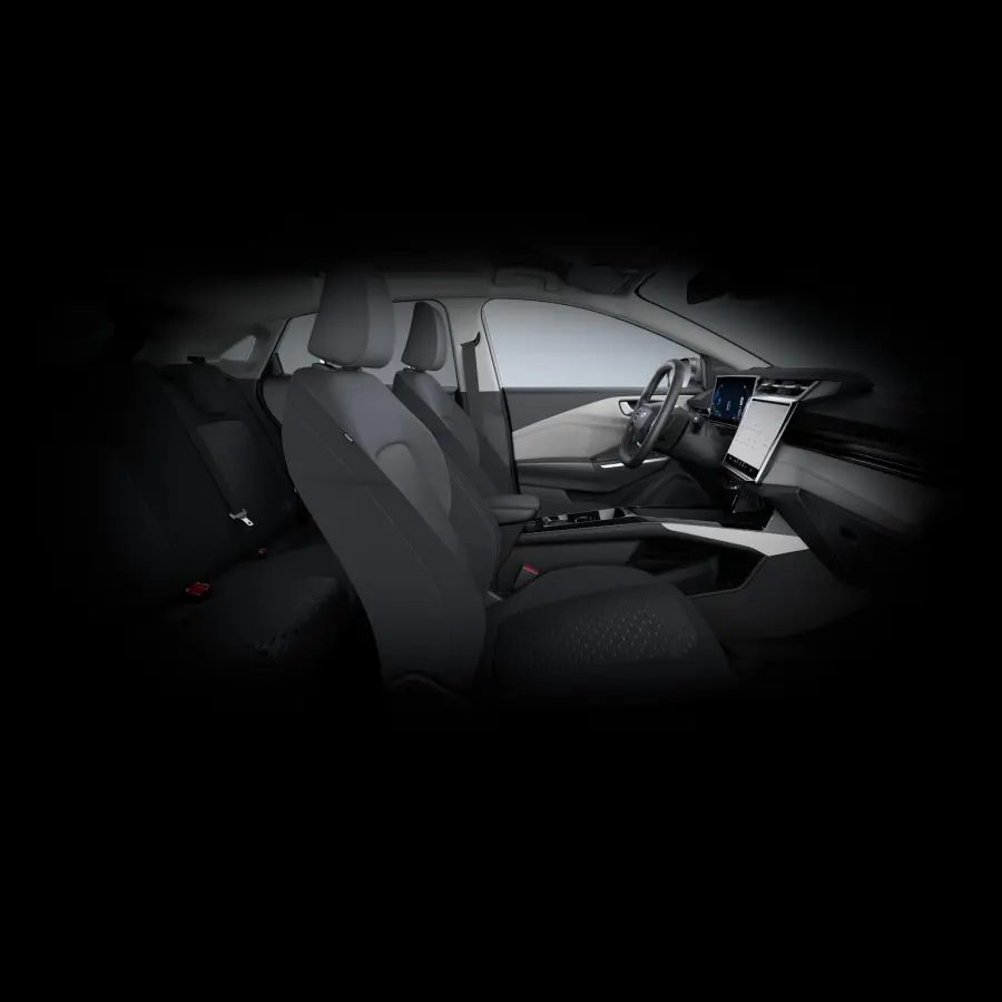 Select 47 kWh | NU TE BESTELLEN | €4.400,- KORTING! | CRUISE CONTROL | PARKEERSENSOREN VOOR EN ACHTER | 1-PEDAL DRIVE |