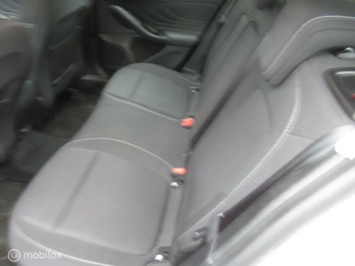 1.0 EcoBoost Active Business