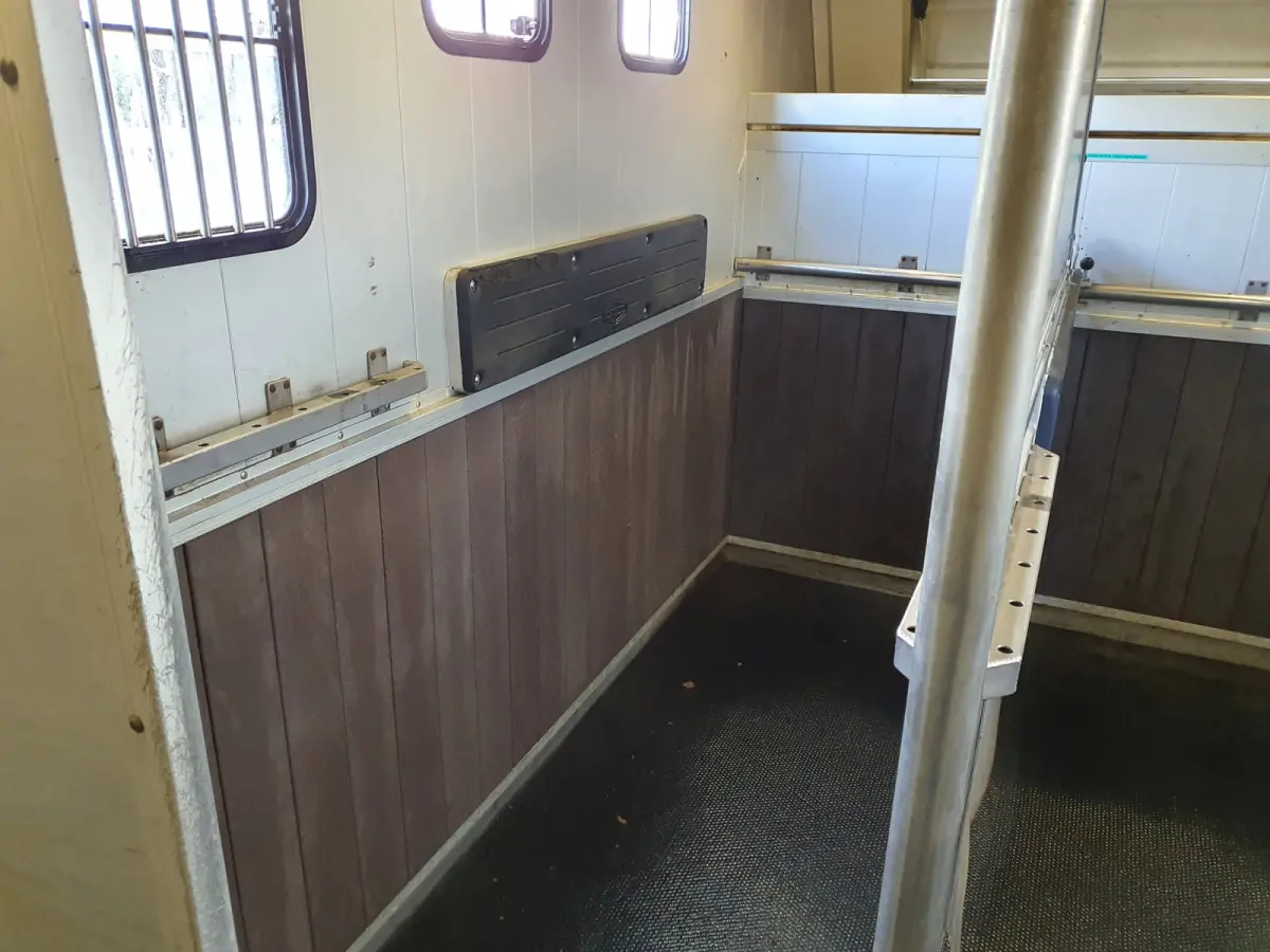 8.180 (5-pers) Aut. 4X2 BL EEV *PAARDEN (2) /HORSES (2) TRAILER* AUT. *PAARDEN TRAILER- PFERDETRANSPORTWAGEN - HORSES TRAILER* *lengte: 760cm l breedte:236cm l hoogte:325cm*