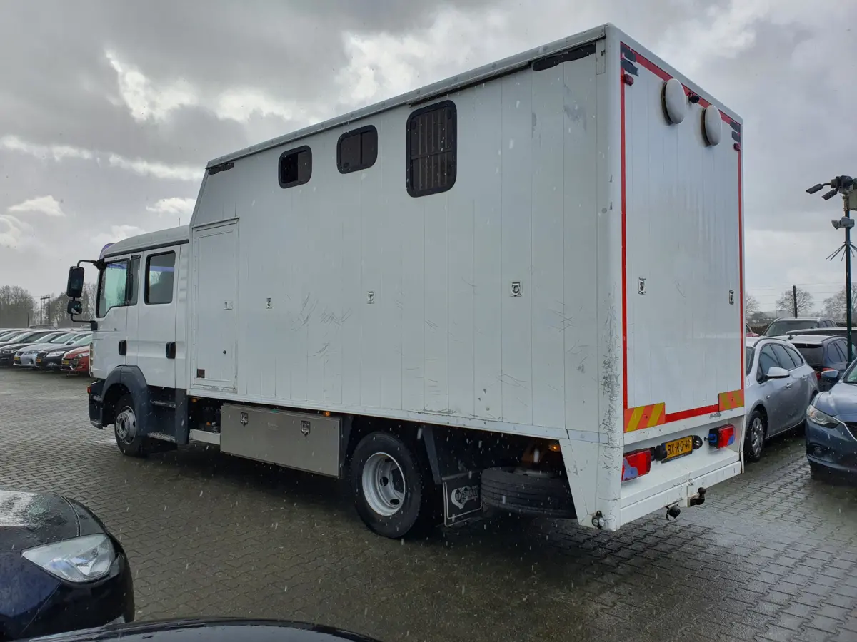8.180 (5-pers) Aut. 4X2 BL EEV *PAARDEN (2) /HORSES (2) TRAILER* AUT. *PAARDEN TRAILER- PFERDETRANSPORTWAGEN - HORSES TRAILER* *lengte: 760cm l breedte:236cm l hoogte:325cm*