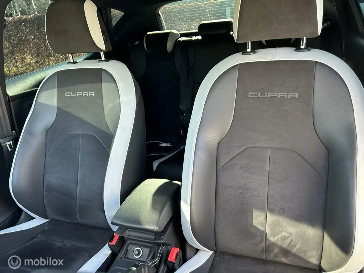 2.0 TSI Cupra 280 / 375 PK / Dealer onderhouden /