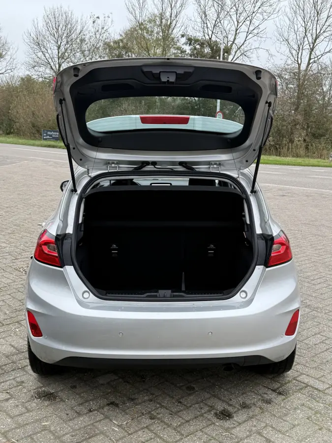 1.0 EcoBoost 100PK Titanium KEYLESS | LED | AIRCO | PDC | CRUISE