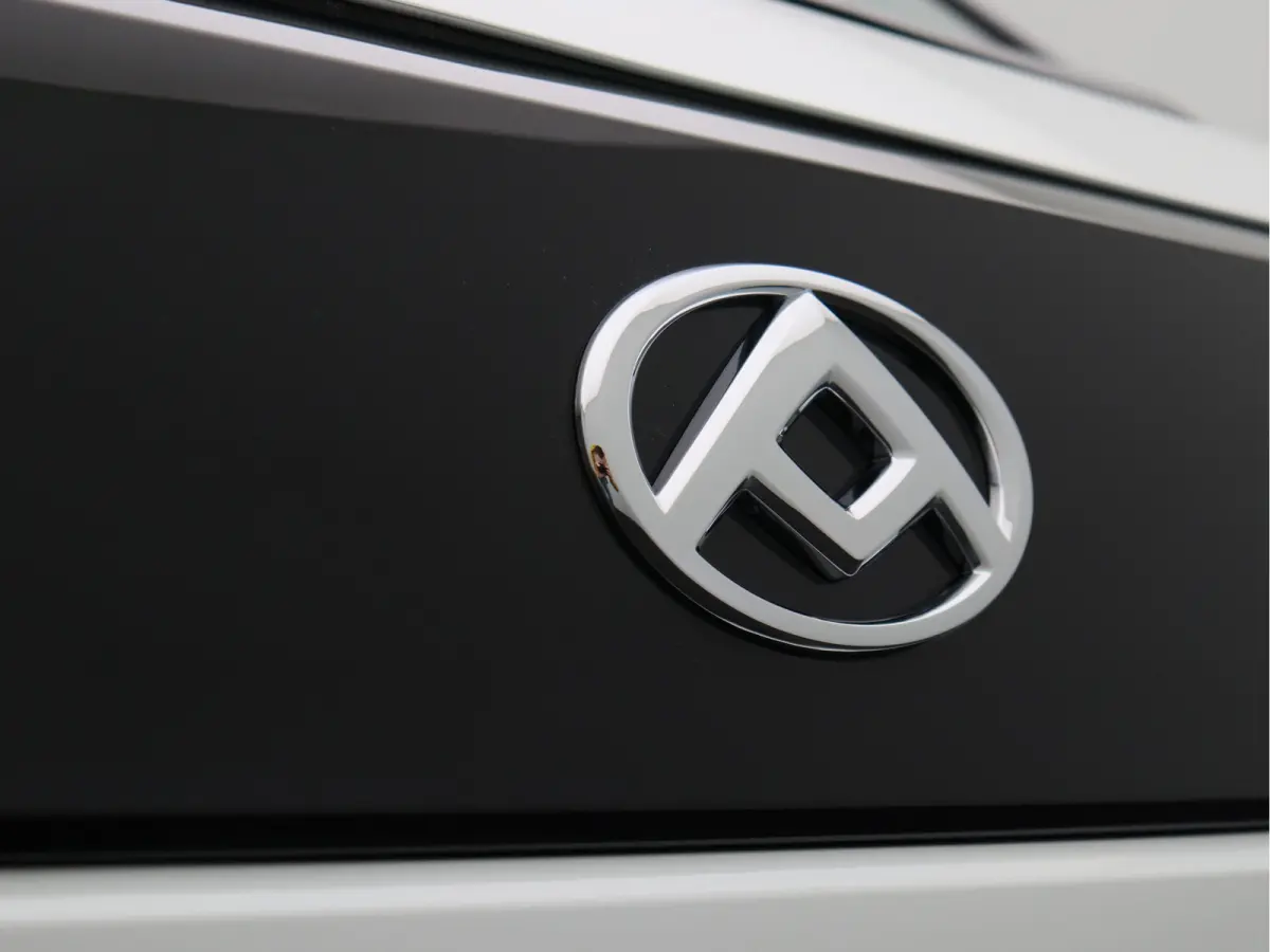| L2H1 64 kWh | Nieuwste modeluit voorraad leverbaar |