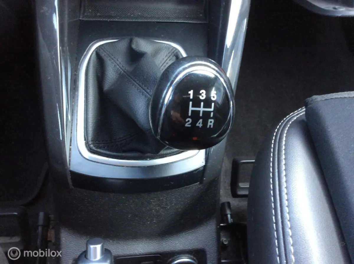 1.0 EcoBoost Titanium S Navi Camera 17" half leder