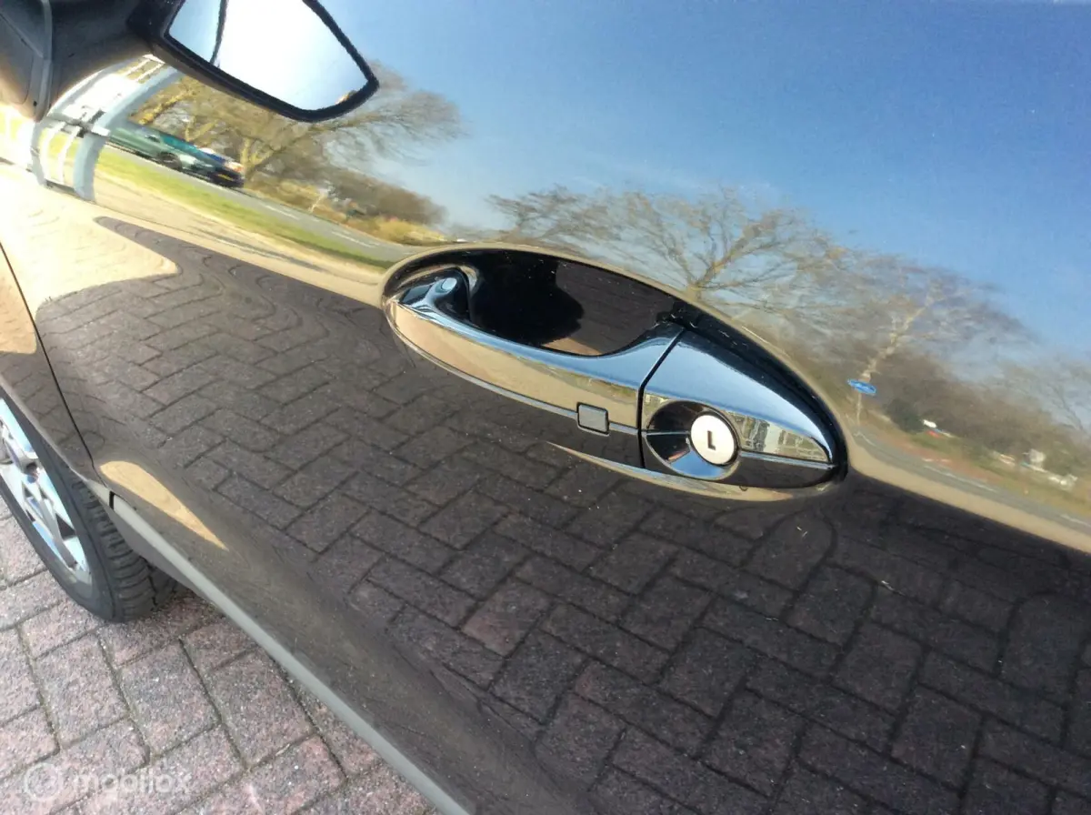 1.0 EcoBoost Titanium S Navi Camera 17" half leder