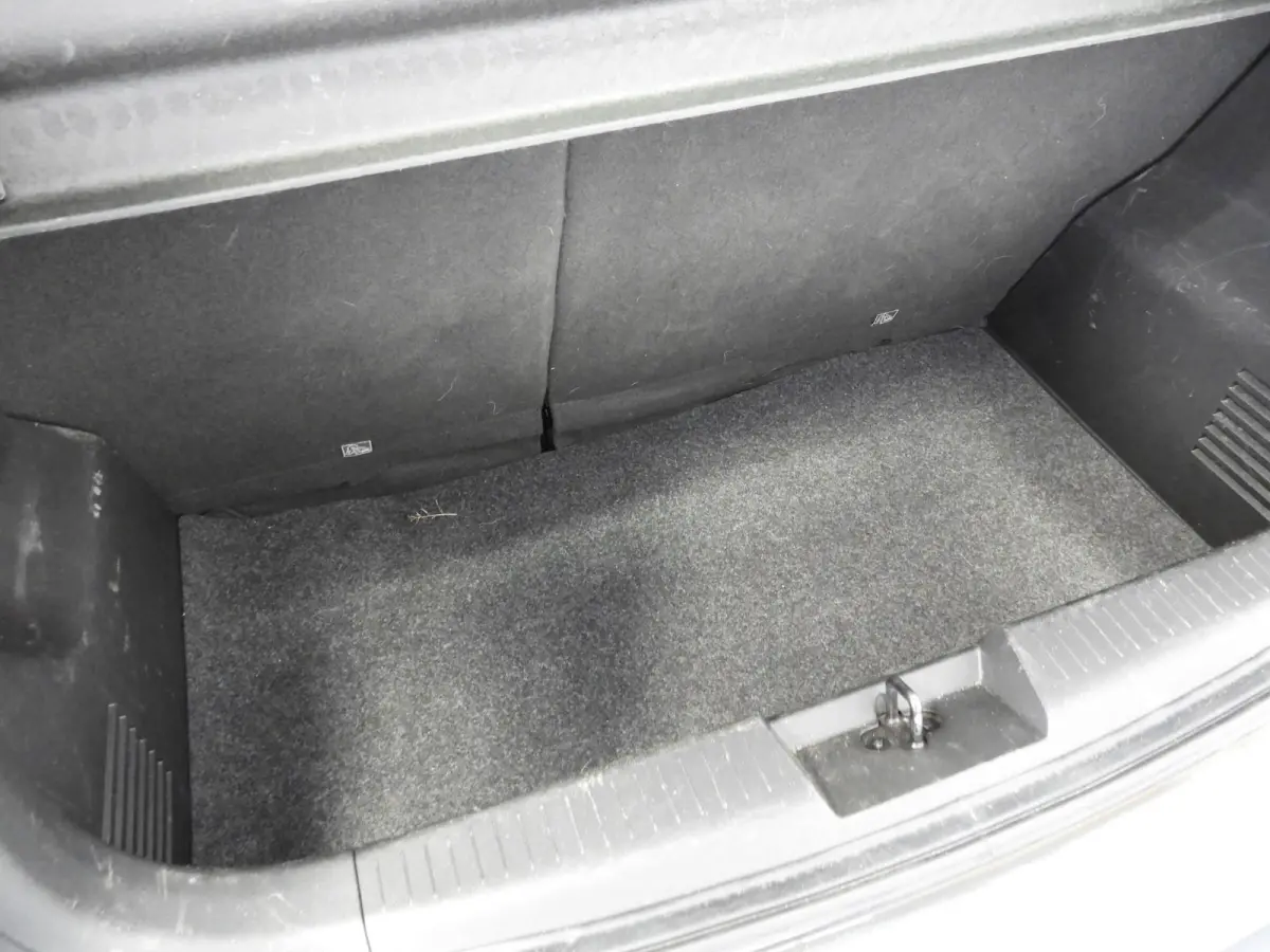 1.0 ecoFLEX Edition AIRCO/CRUISE/BLUETOOTH!