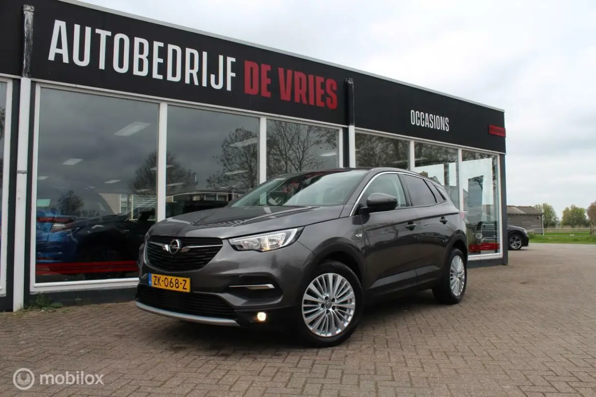 1.2 Turbo 120 Jaar Edition AGR-Stoelen/AppleCarplay