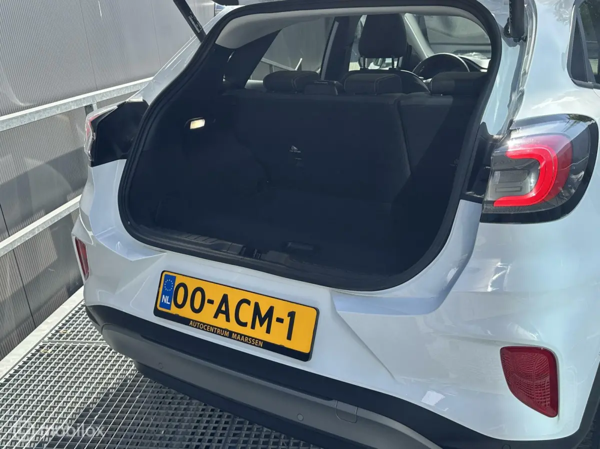1.0 EcoBoost