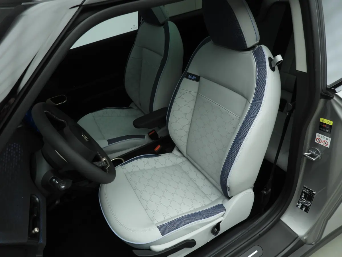 Cooper E Classic Trim / Pakket L / Harman-Kardon / Panoramadak / Getint glas / Park assist / Head-up / Alu wielen 18 inch