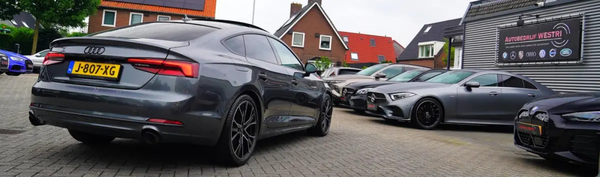 40 TFSI Design Pro Line Plus | Stuurwiel verwarming | Glazen elektrische pano | Achteruitrijcamera