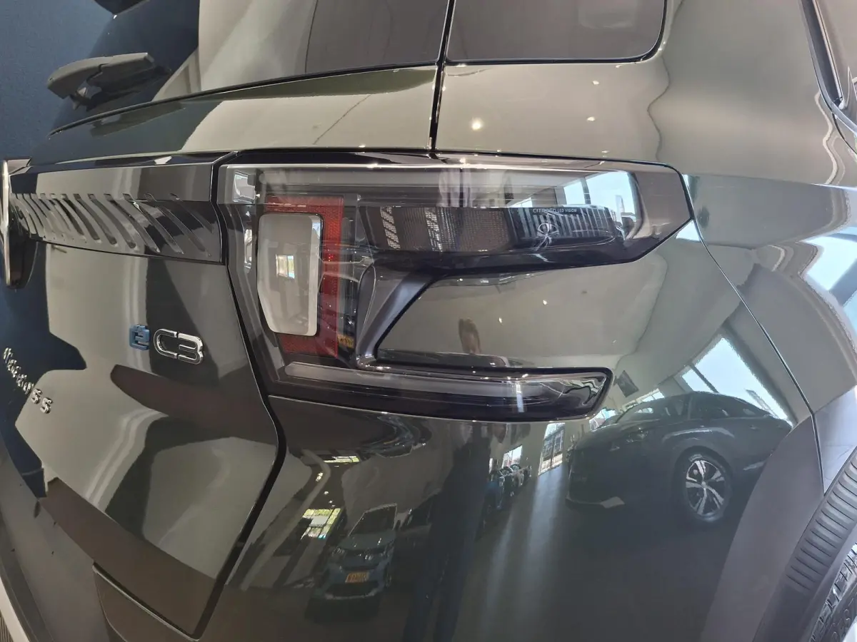 Max 113pk 44 kWh