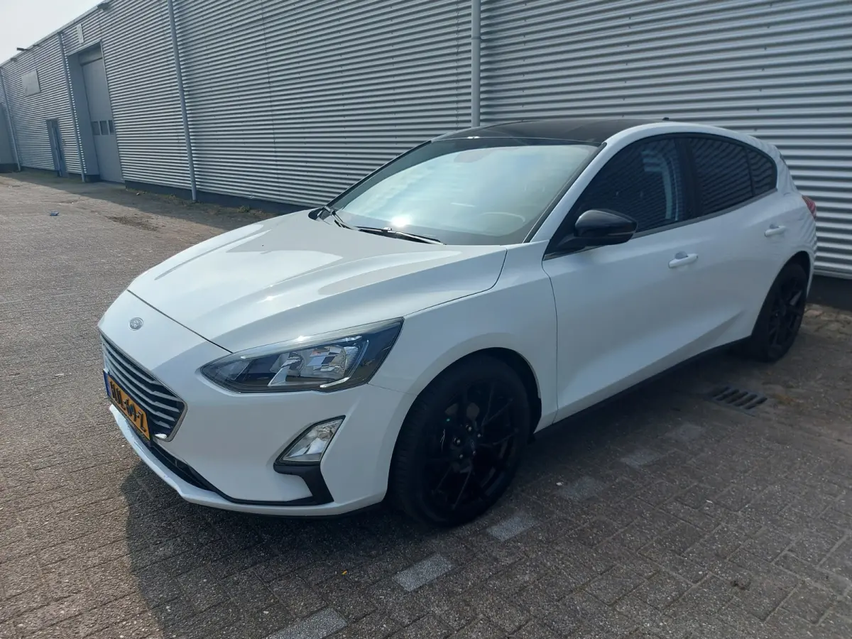 1.0 EcoBoost Hybrid Active Business