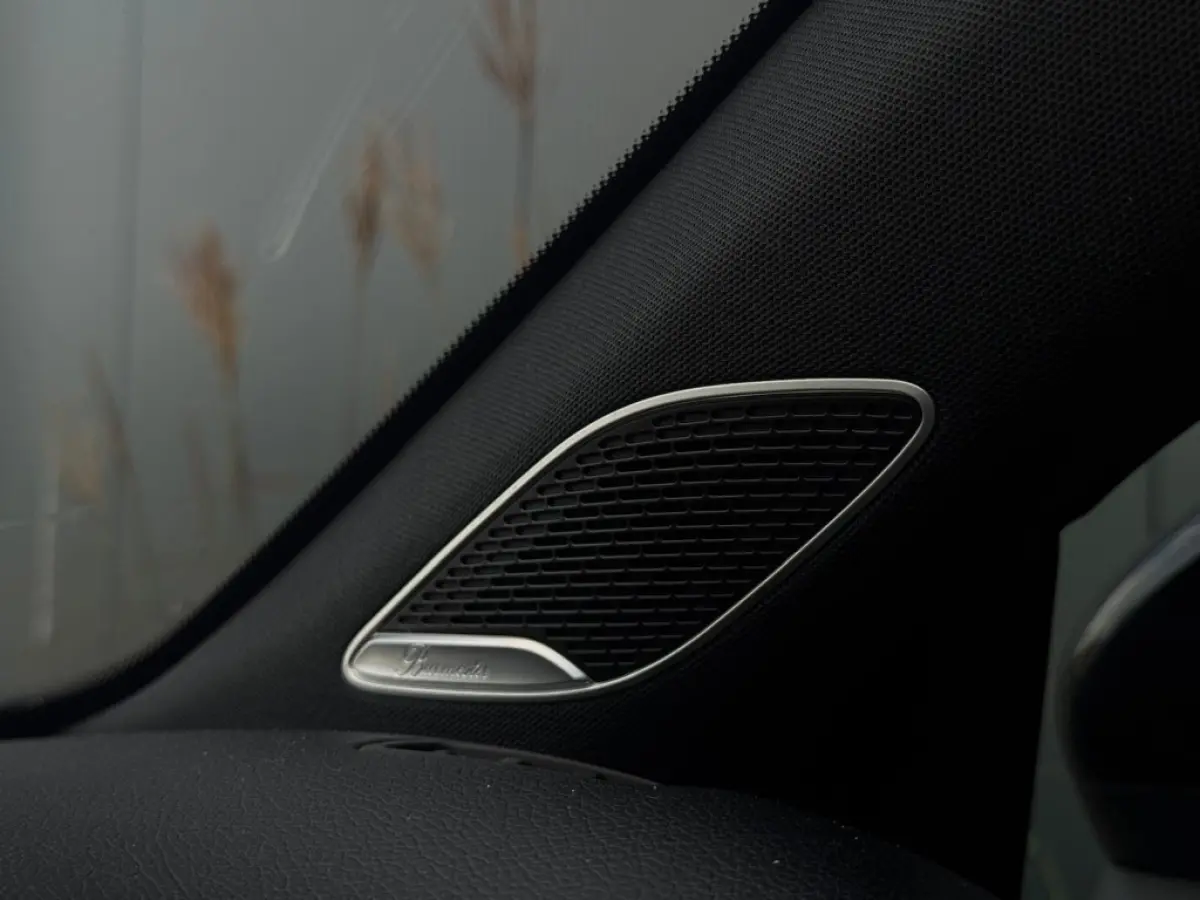 220 AMG M2020 PANO NAVI CAMERA PDC SPORTVELGEN