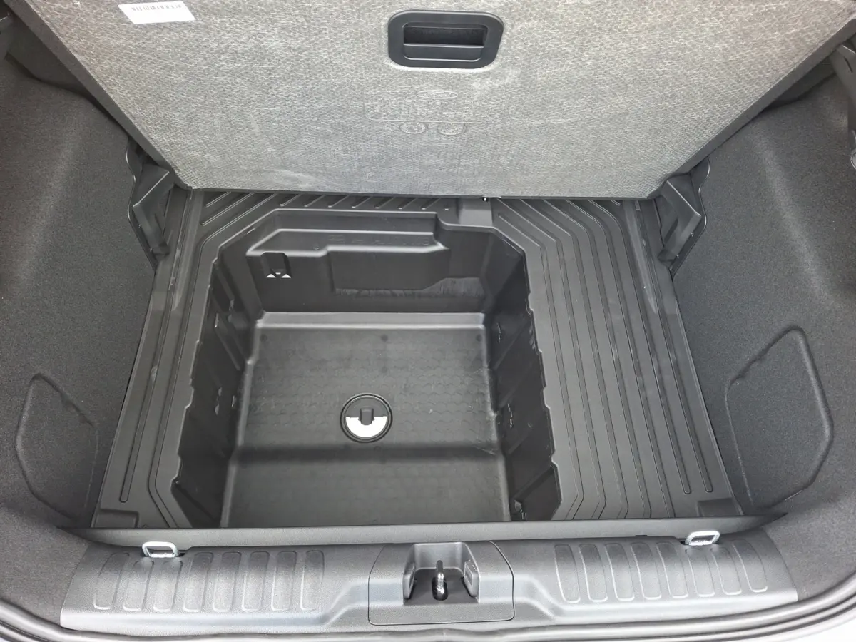 1.0 EcoBoost Titanium | Achteruitrijcamera | Apple Carplay/Android Auto|telefoonintegratie premium | Cruise control