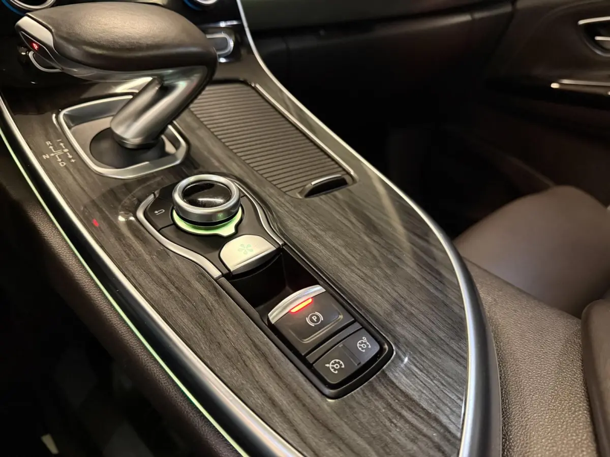 1.6 TCe Initiale Paris 4 CONTROL PANO/CAM/LEDER/DAB/BOSE/SFEERVERL/ECC/PDC/CRUISE///