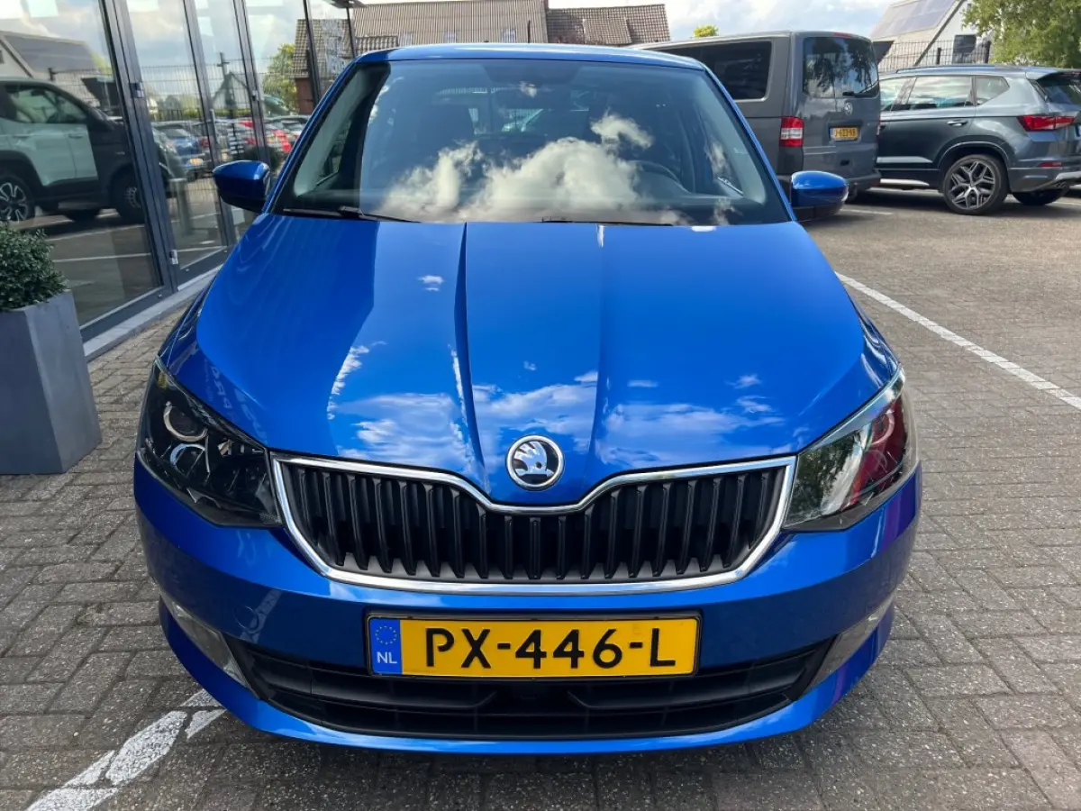 1.0 TSI DRIVE