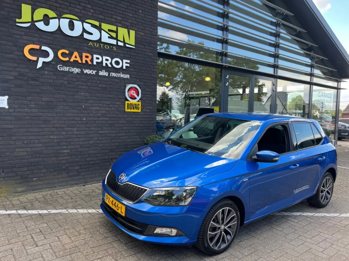 1.0 TSI DRIVE