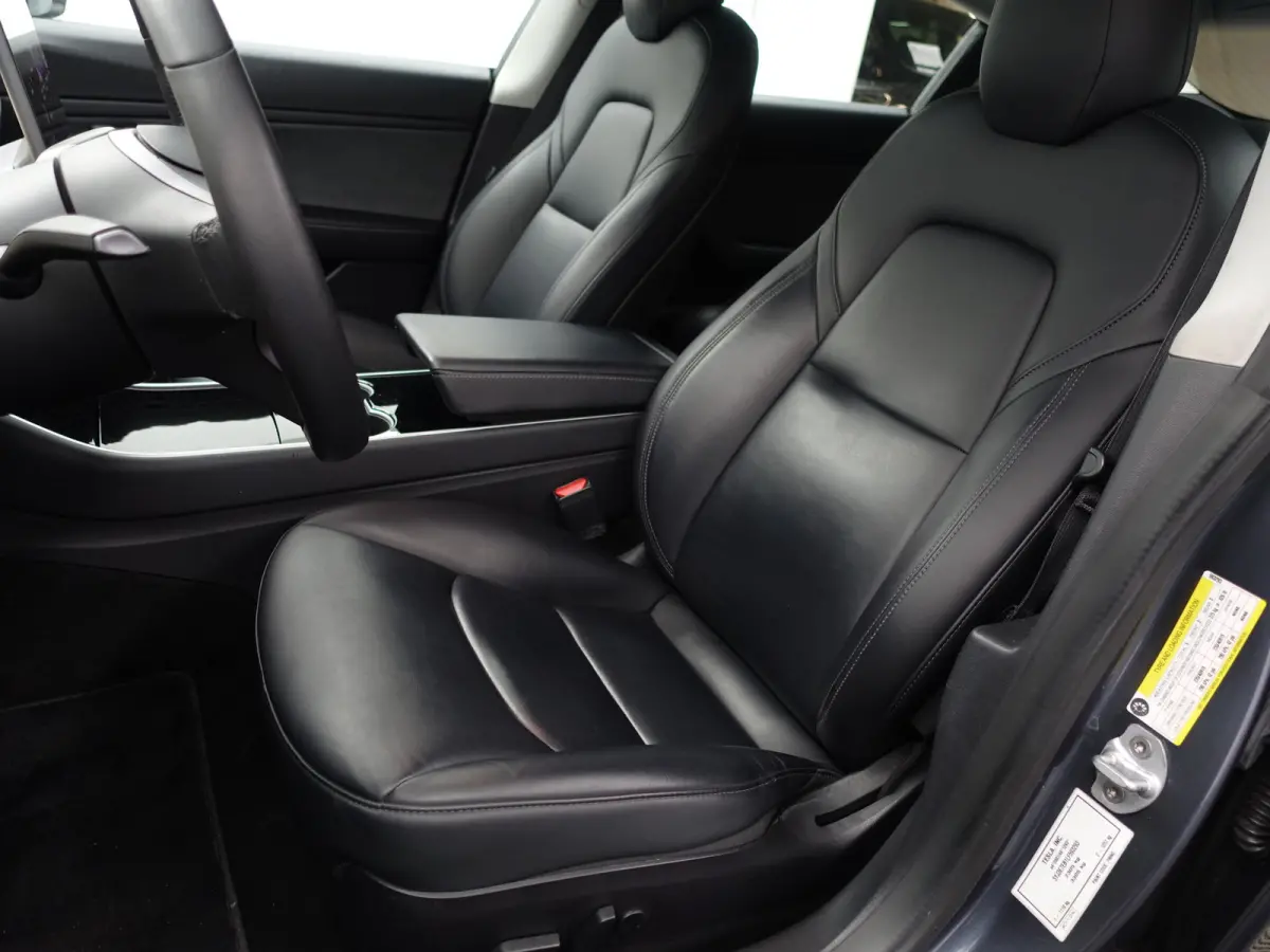 Long Range AWD 75 kWh- NAP 97dkm, Panoramadak, Camera, Autopilot, Xenon Led
