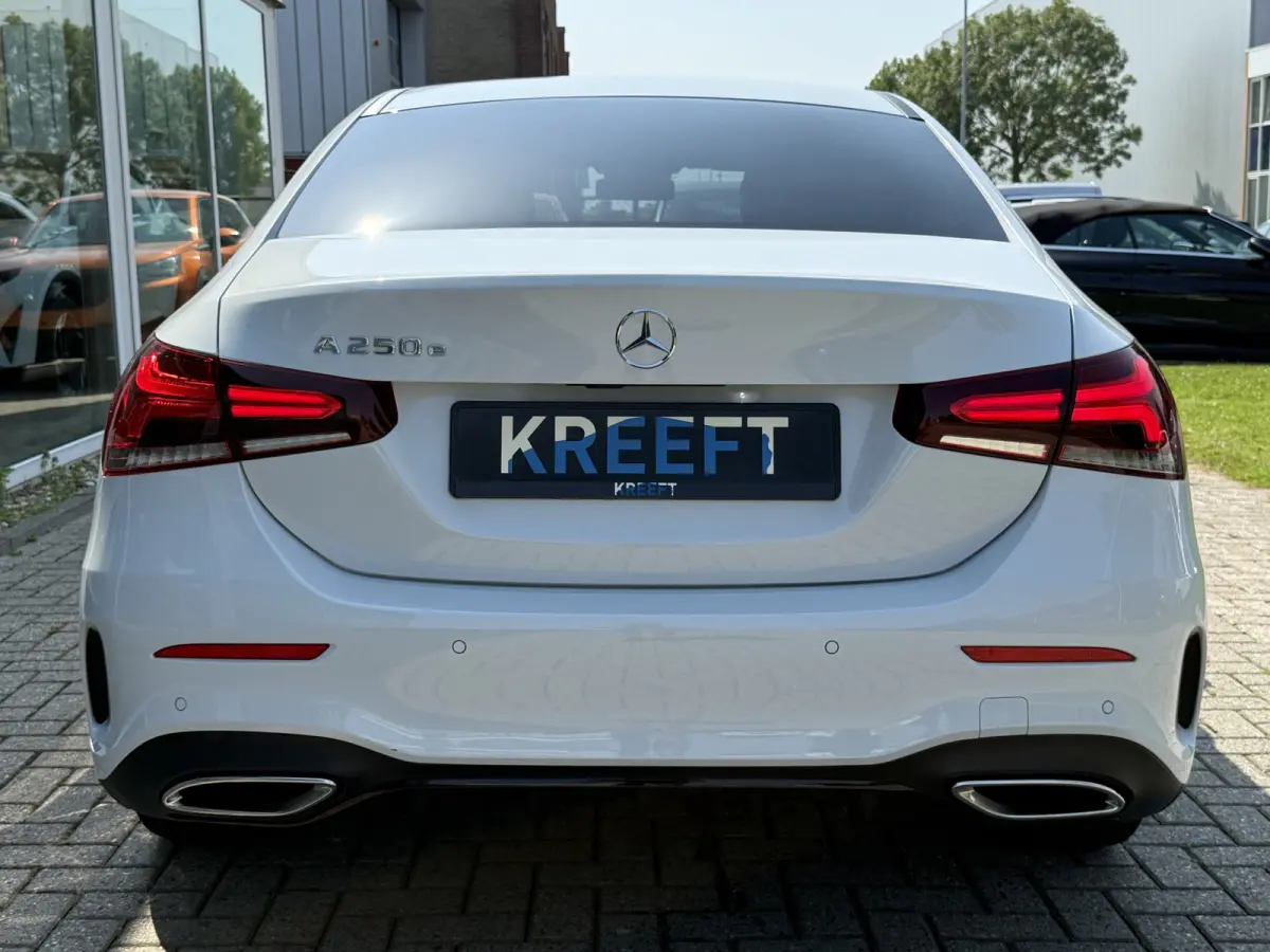 250 e AMG Parelmoer Camera | Widescreen