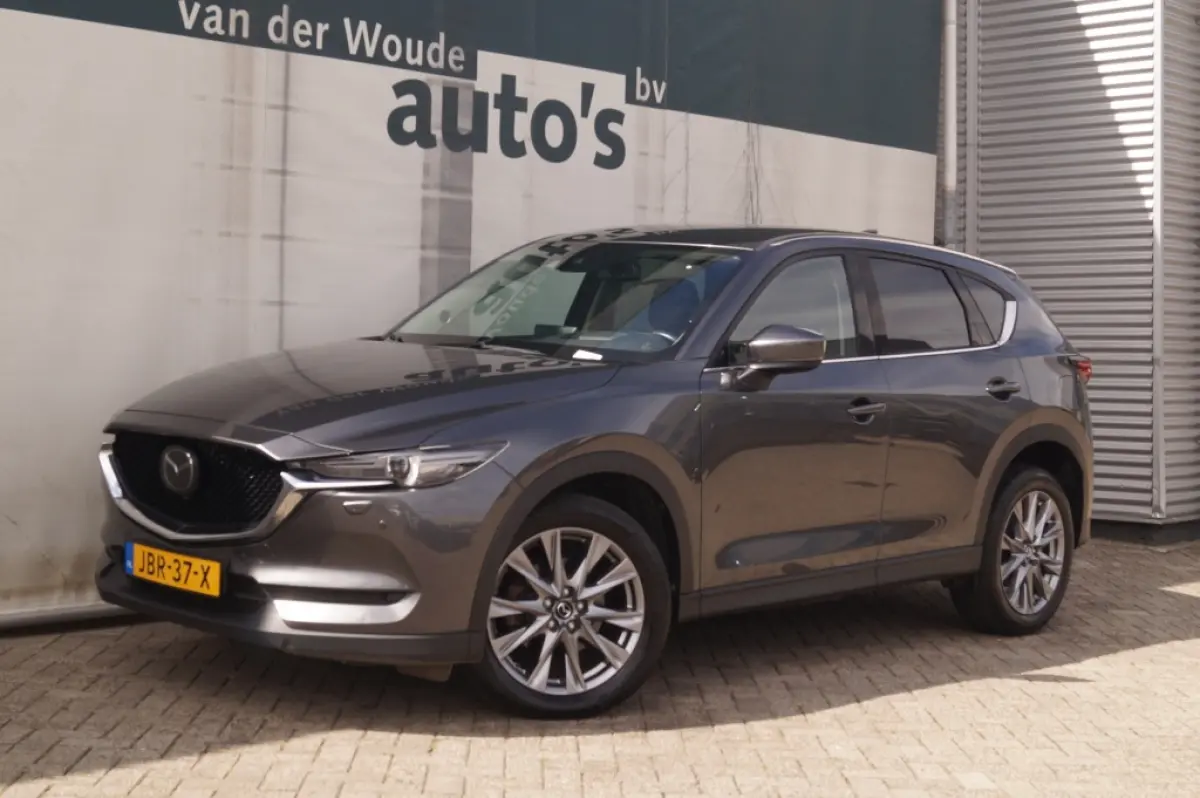 2.2d 150pk Automaat Cruise Edition -LEER-ECC-PDC-