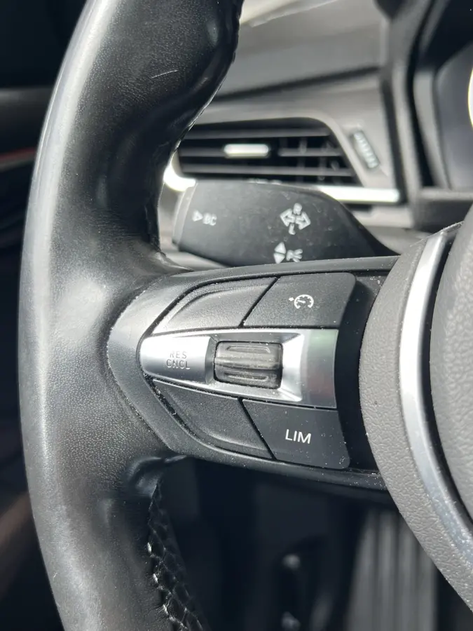 218i High Executive | AUTOMAAT | PANO-DAK | LEDER | HEAD-UP DISPLAY | NAVI XL | CAMERA | CRUISE CONTROL | CLIMATE CONTROL | PDC V+A | LMV 17'' | STOELVERWARMING | BLUETOOTH
