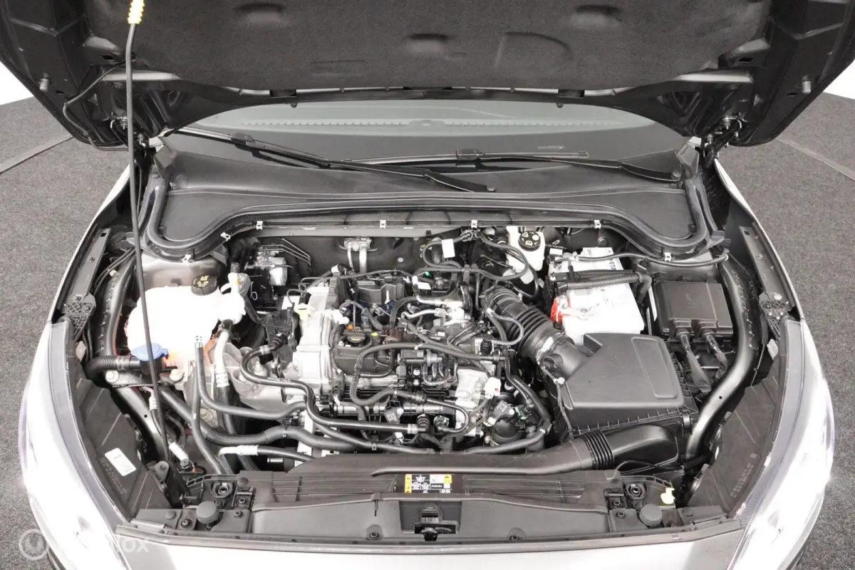 1.0 EcoBoost Trend Edition Business | Navigatie | Parkeersensoren v/a | Camera | 10dkm NAP | NL Auto | DEALER-STAAT