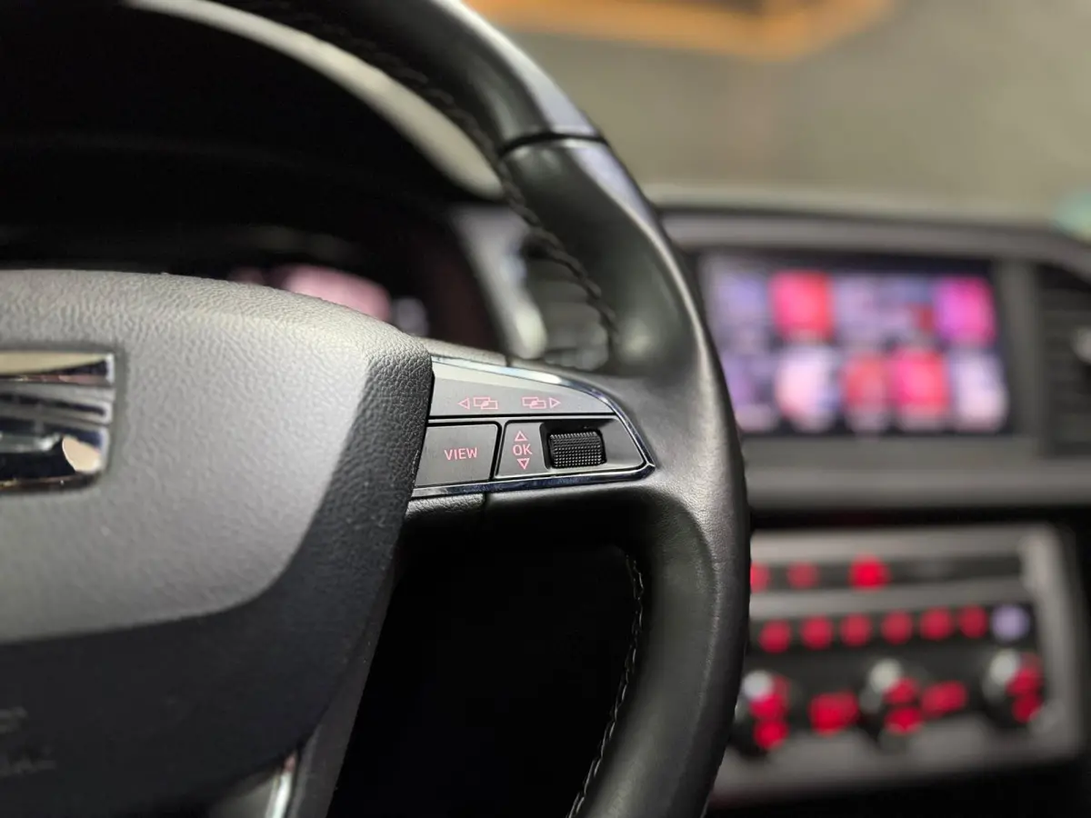 1.5 TSI FR Ultimate Edition|PANO|BEATS|LED|SFEERV|CAM