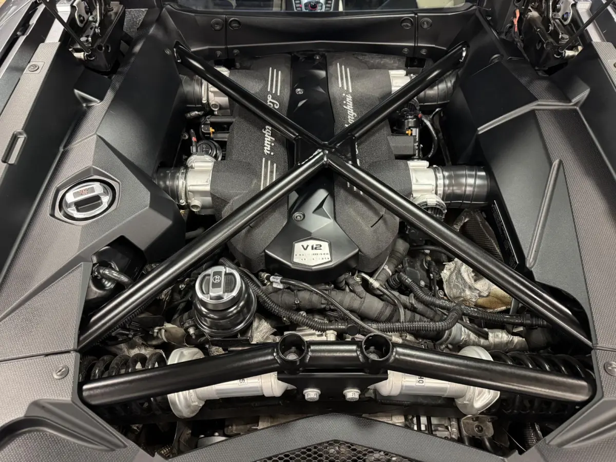 6.5 V12 LP700-4