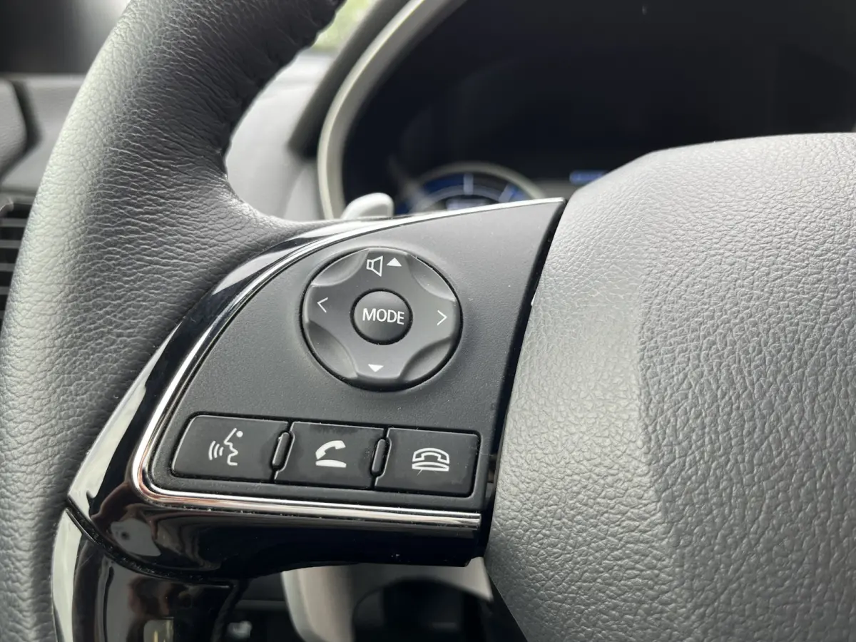 2.4 PHEV Intense+ Staat in Hardenberg