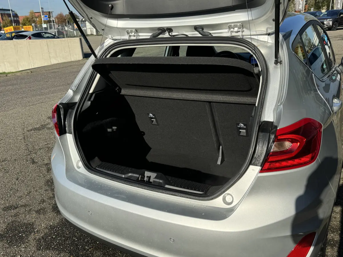 1.0 EcoBoost Titanium Staat in Hardenberg