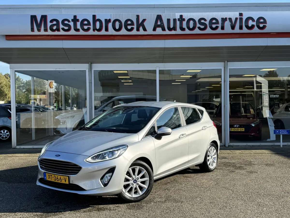 1.0 EcoBoost Titanium Staat in Hardenberg