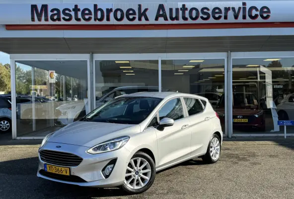 1.0 EcoBoost Titanium Staat in Hardenberg