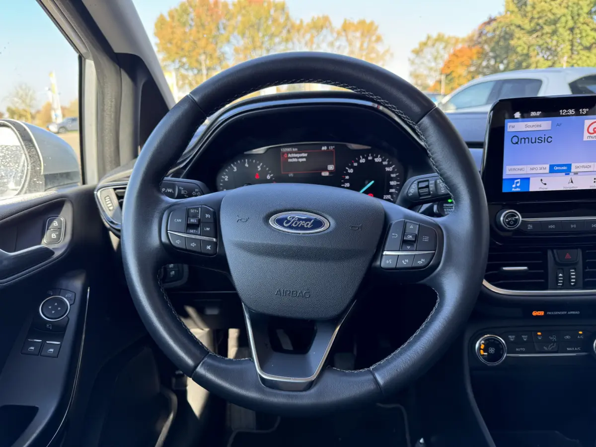 1.0 EcoBoost Titanium Staat in Hardenberg