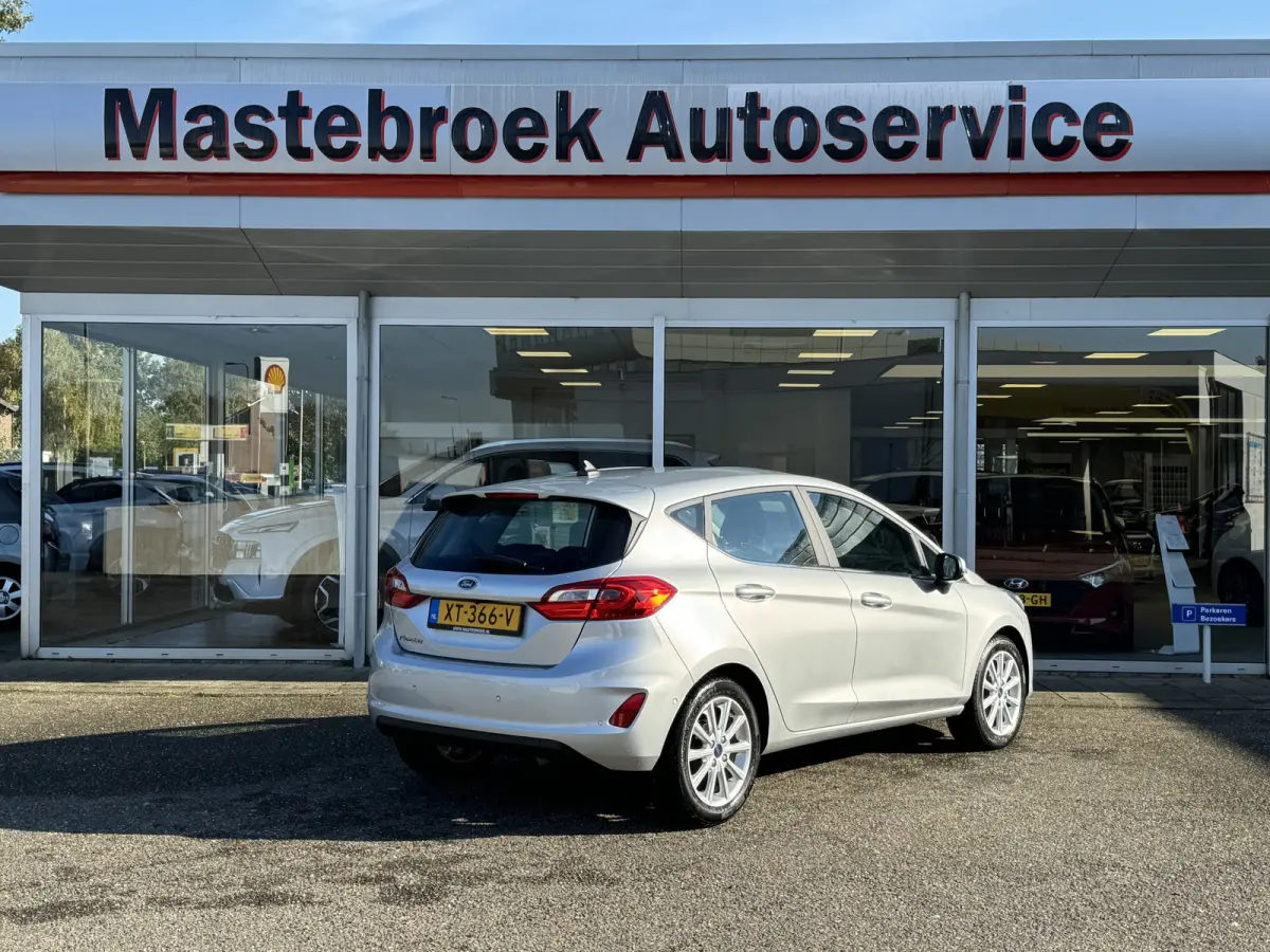 1.0 EcoBoost Titanium Staat in Hardenberg
