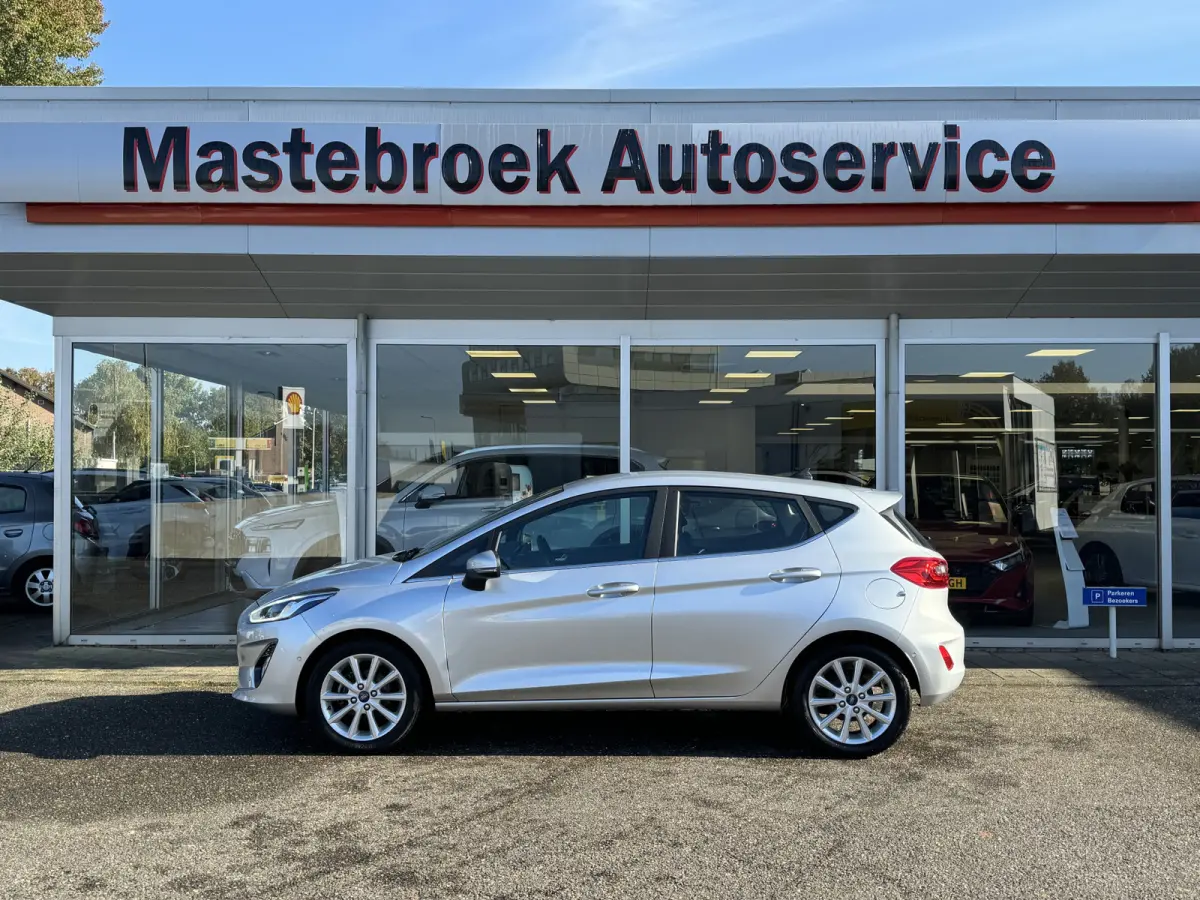 1.0 EcoBoost Titanium Staat in Hardenberg