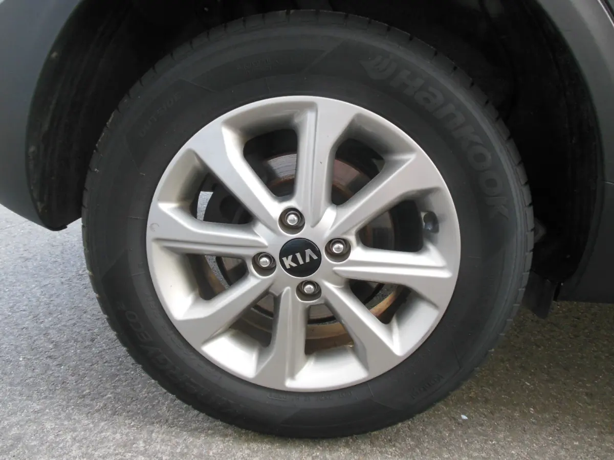 1.0 T-GDi MHEV DynamicLine Staat in Hoogeveen