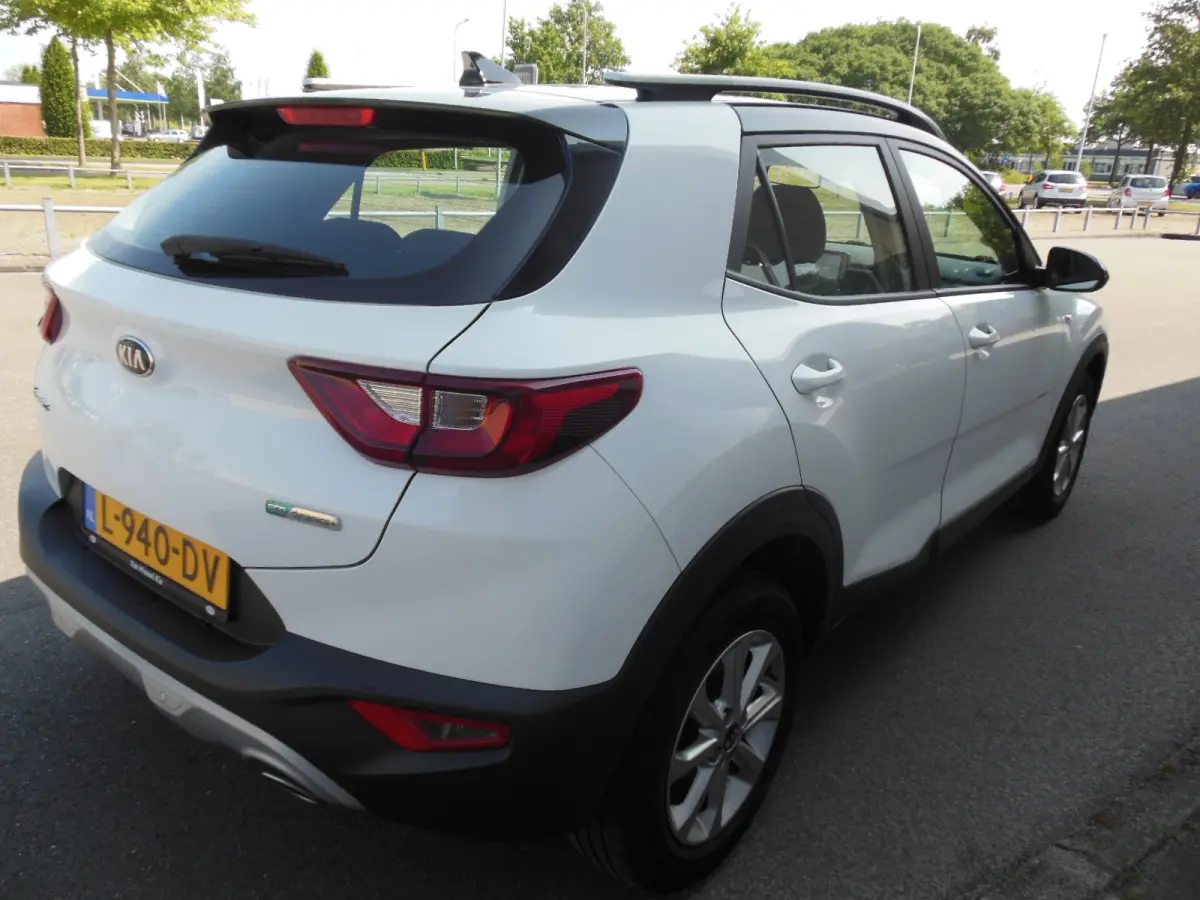 1.0 T-GDi MHEV DynamicLine Staat in Hoogeveen