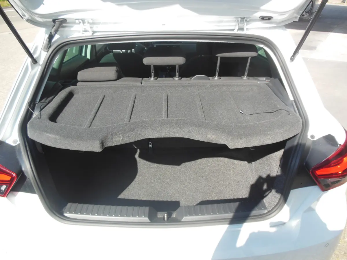 1.0 TSI Style Business Intense Staat in De Krim