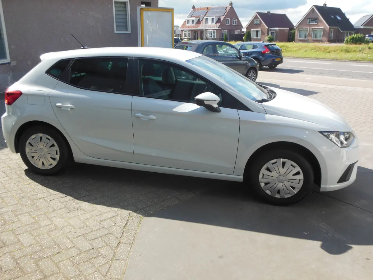 1.0 TSI Style Business Intense Staat in De Krim