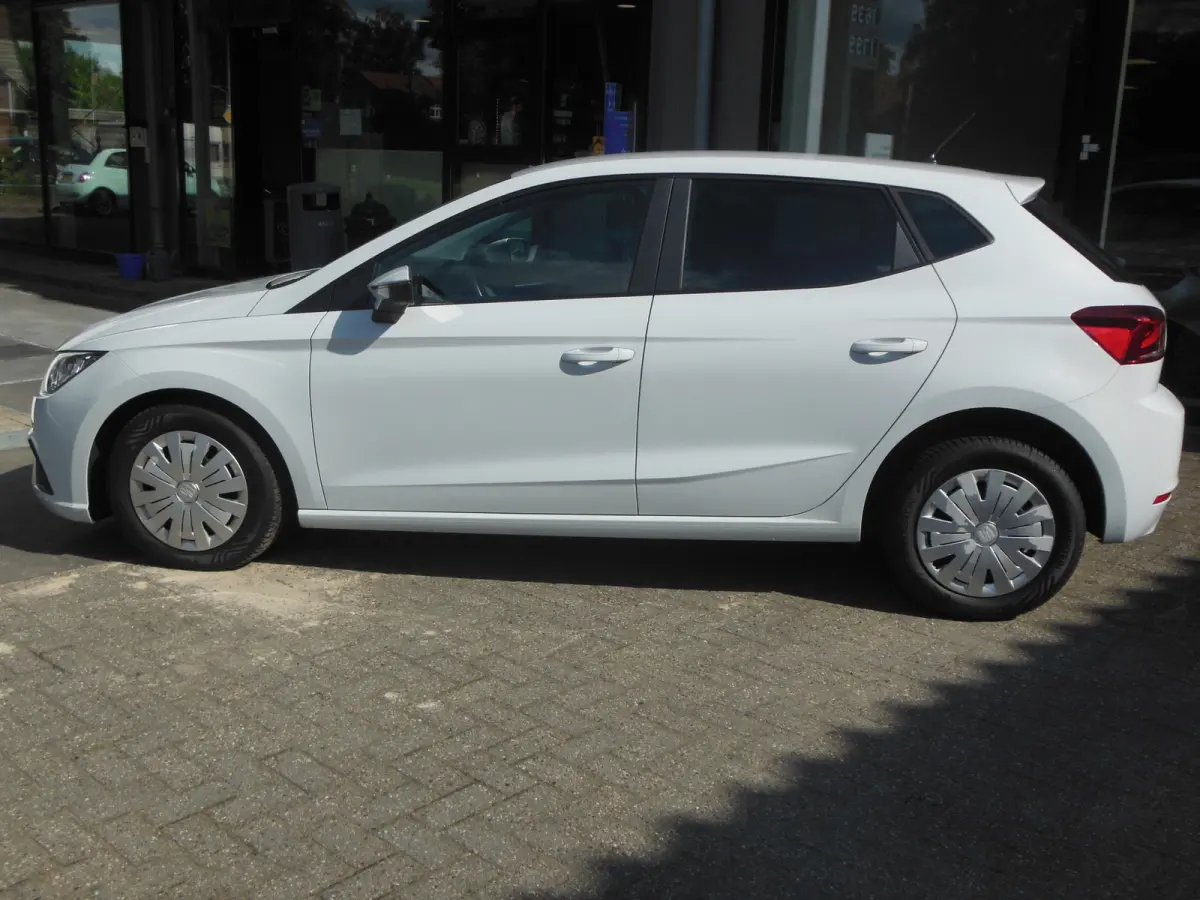 1.0 TSI Style Business Intense Staat in De Krim
