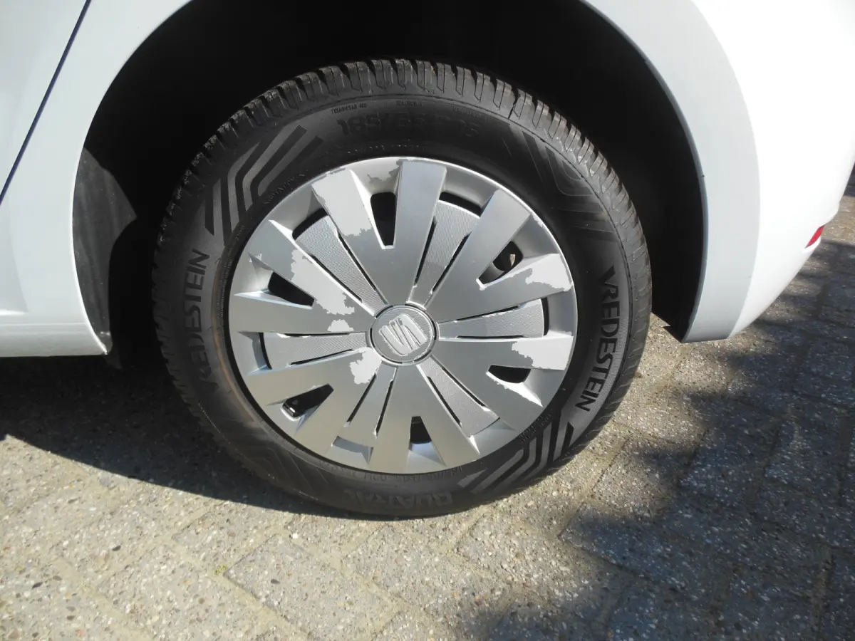1.0 TSI Style Business Intense Staat in De Krim