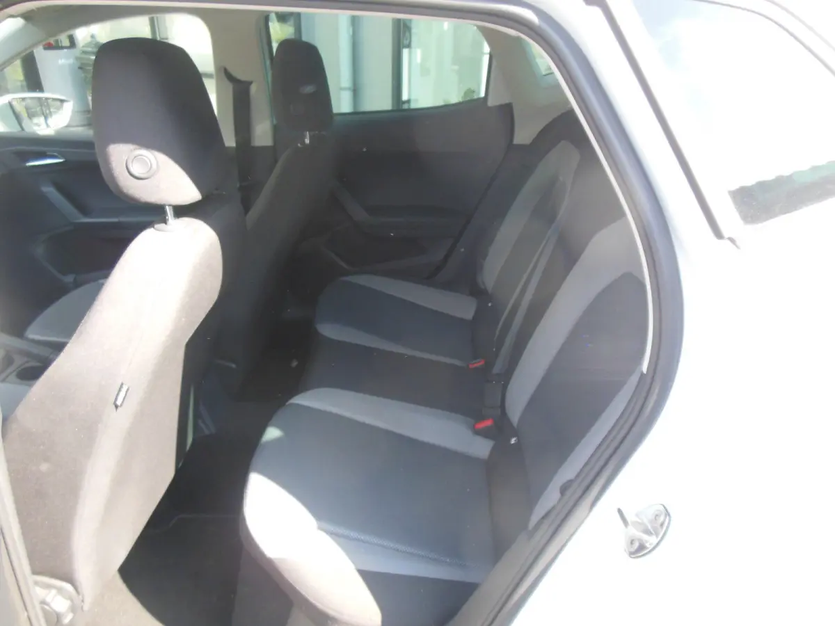 1.0 TSI Style Business Intense Staat in De Krim