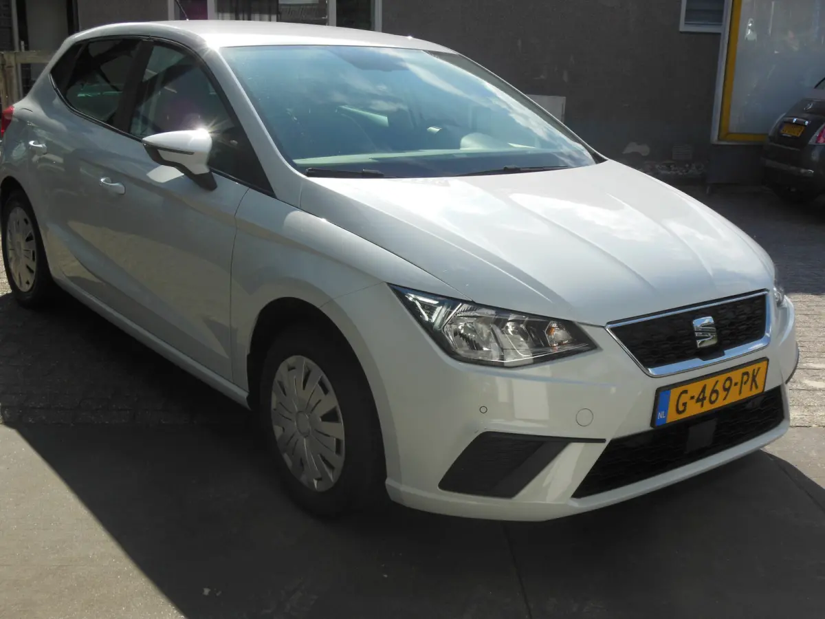 1.0 TSI Style Business Intense Staat in De Krim