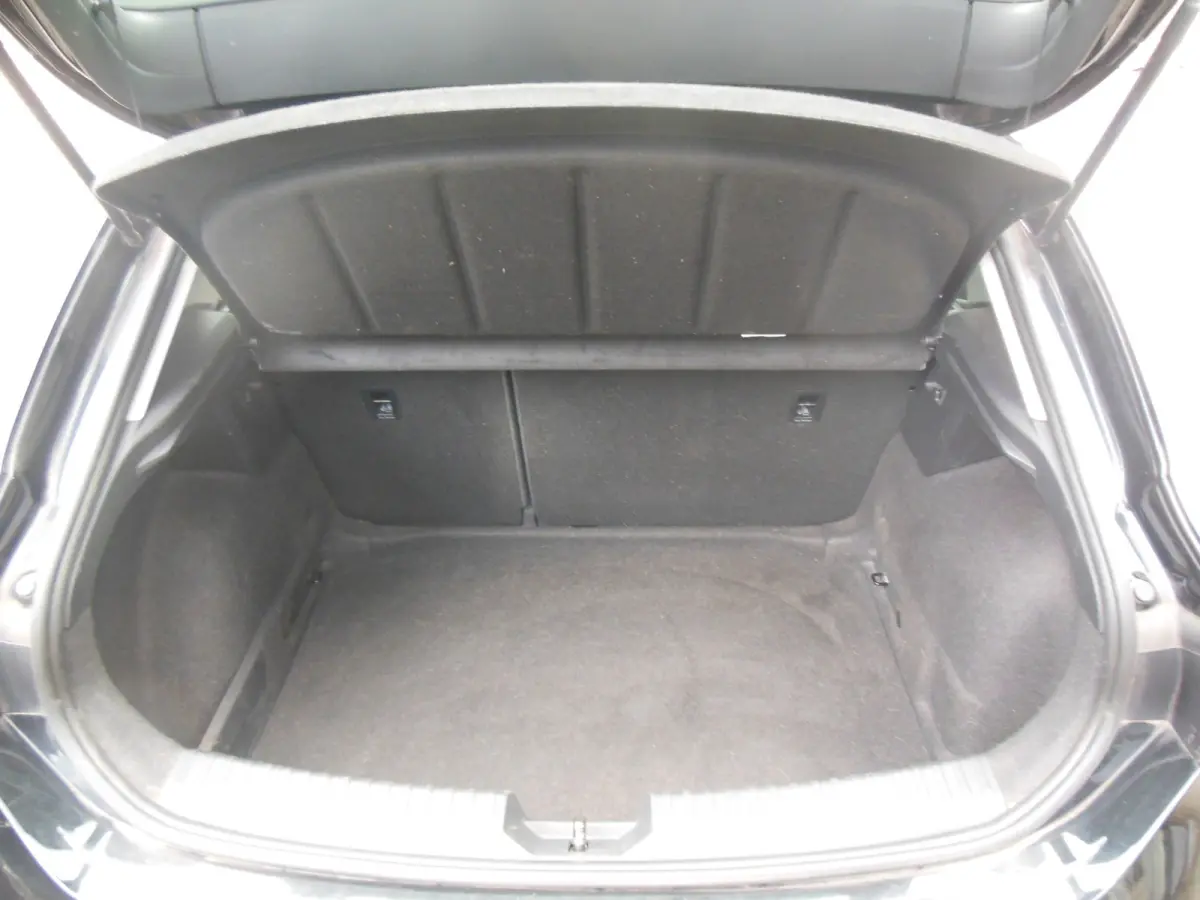 1.0 TSI Reference Staat in De Krim