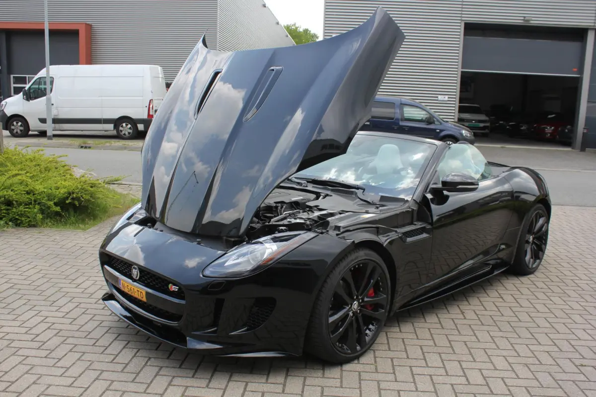 5.0 V8 R