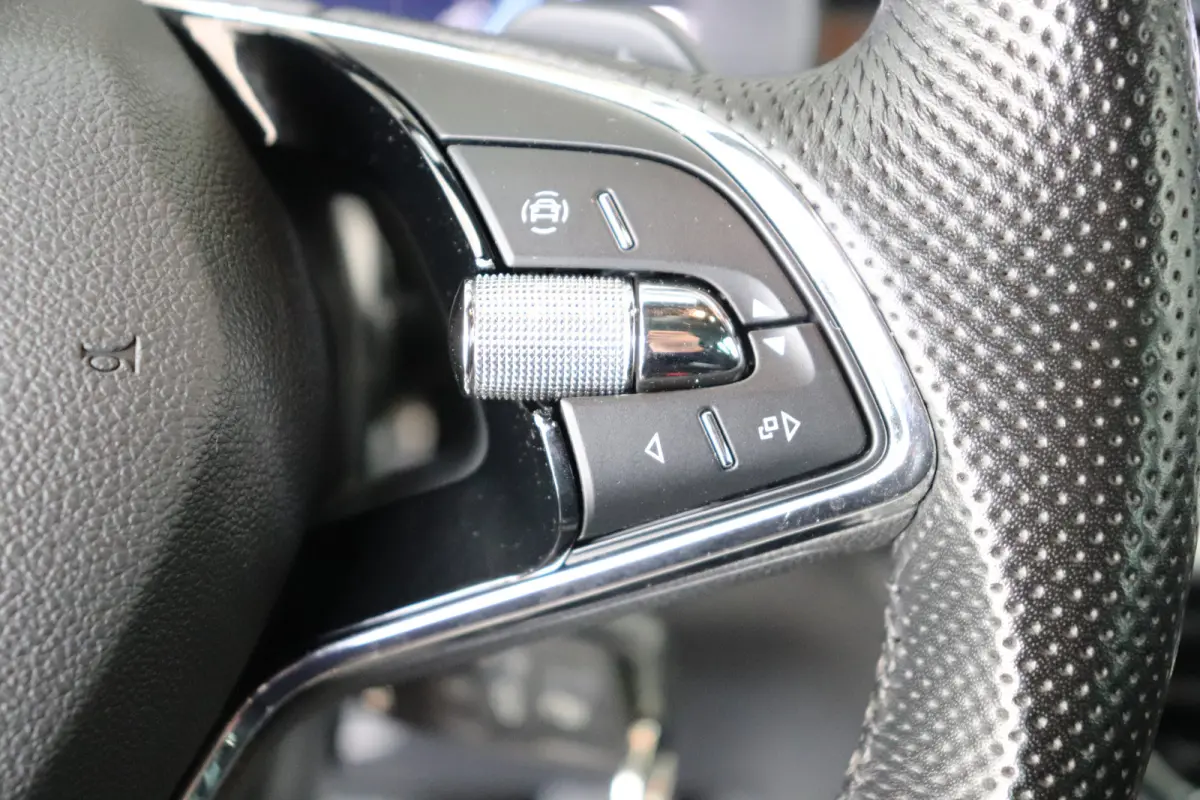 1.0 TSI Sport Business, automaat .