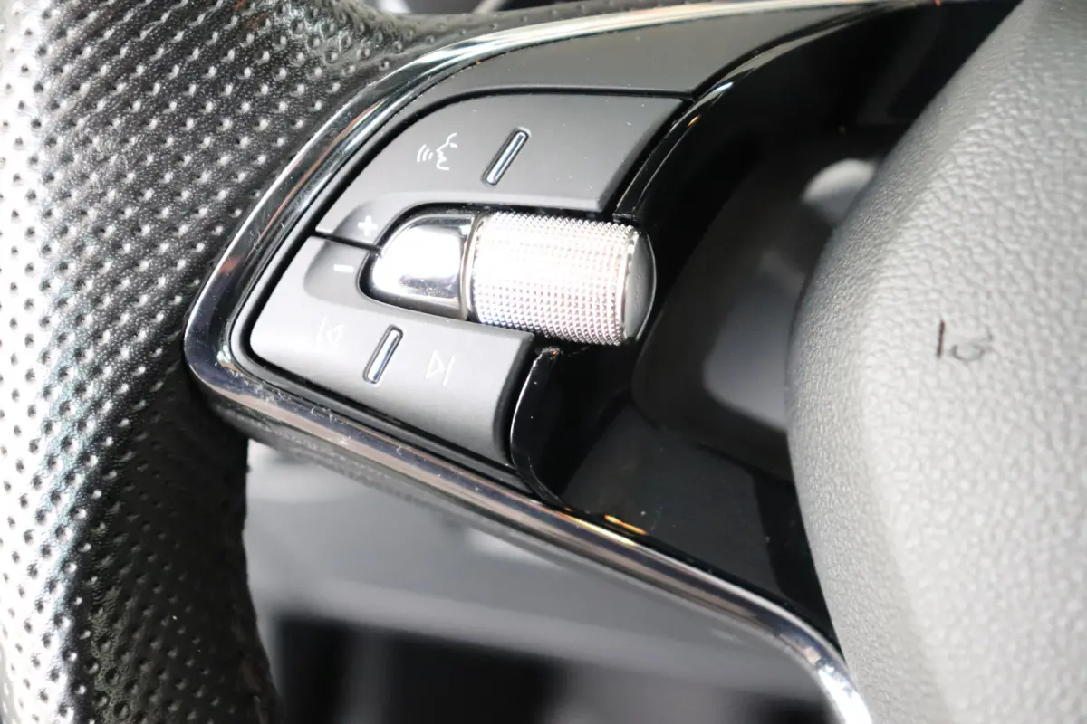 1.0 TSI Sport Business, automaat .