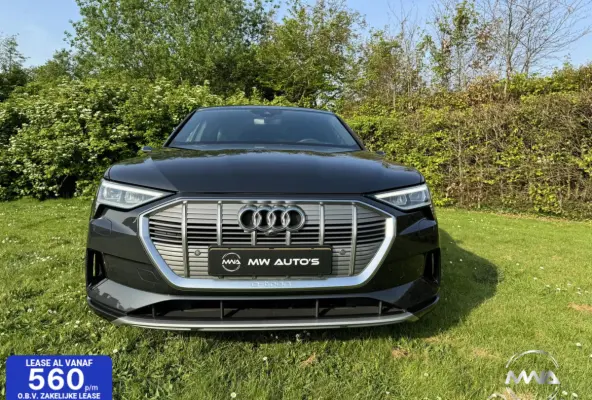 55 quattro advanced 95 kWh