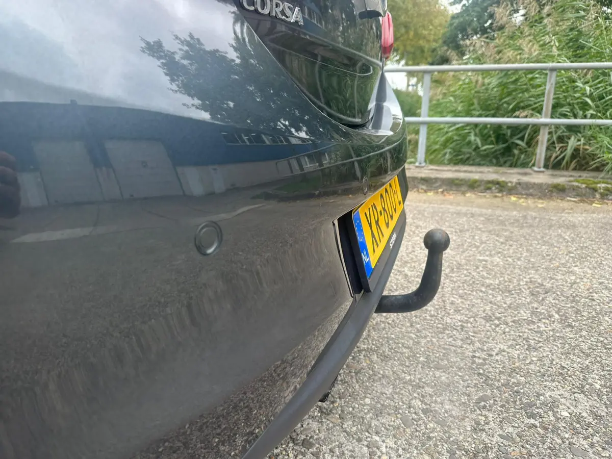 1.0 Turbo Online Edition Navi Camera! PDC Clima! Nette auto!