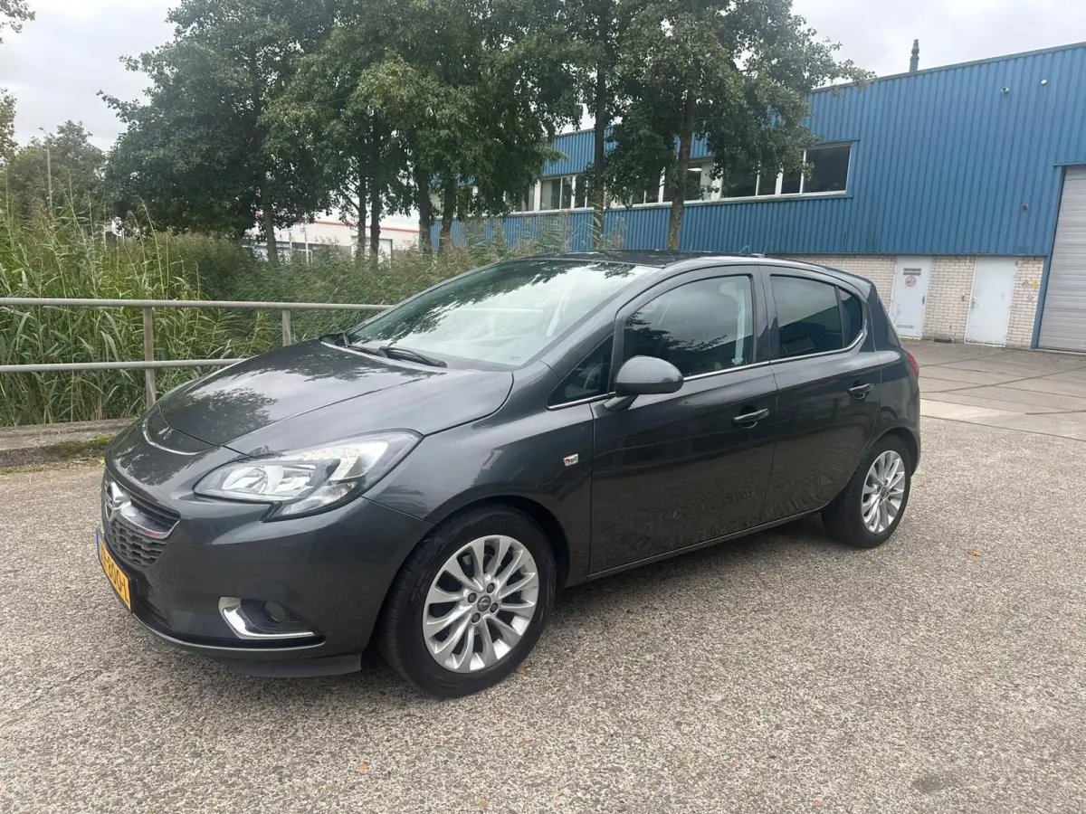 1.0 Turbo Online Edition Navi Camera! PDC Clima! Nette auto!
